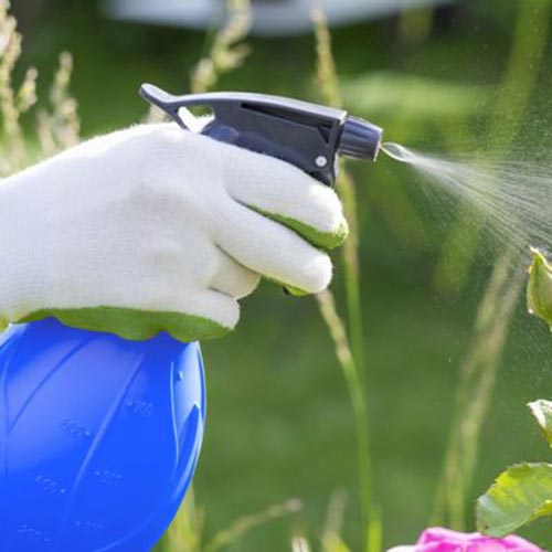 como-elegir-tractorcortacesped-insumos-de-jardin.jpg